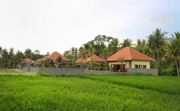 Lingkungan Sekitar di Asri Sari Villa Ubud