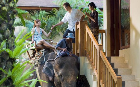  di Elephant Safari Park Lodge