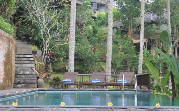 Swimming Pool di Kampung Resort