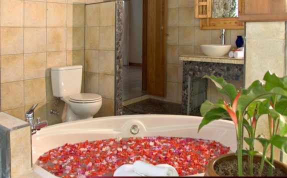 Tampilan Bathroom Hotel di Nefatari Exclusive Villas