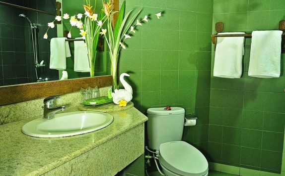 Tampilan Bathroom Hotel di Nugraha Lovina