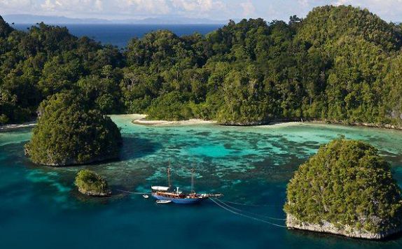 Eksterior Hotel di Papua Paradise Resort
