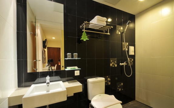 Tampilan Bathroom Hotel di Pyrenees Hotel