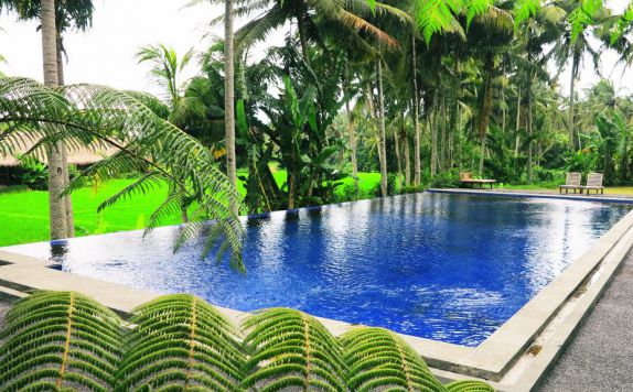 Outside Pool di Sapulidi Resort Ubud