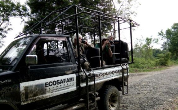 Eksterior di Satwa Sumatra Elephant Eco Lodge