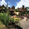 Lava View Lodge Bromo mini