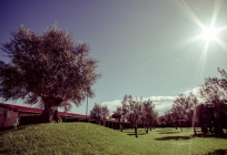 All Ways Garden Hotel & Leisure All Ways Garden Hotel & Leisure
