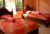Citrus Tree B&B Arik Bali