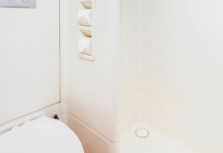 Ibis Budget St Peters Sydney