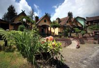 Lava View Lodge Bromo