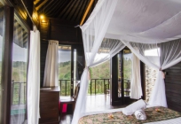 Poh Manis Lembongan Bali