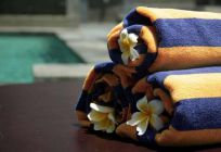 Wahyu Dewata Villa Bali Wahyu Dewata Villa Bali