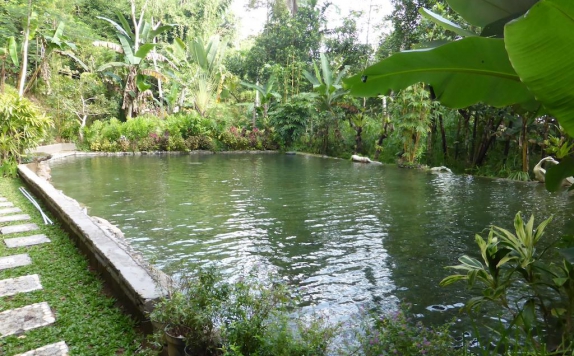 Swimming Pool di The Aura Shanti Retreat