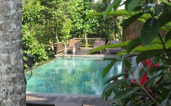Swimming pool di The Kampung Resort Ubud