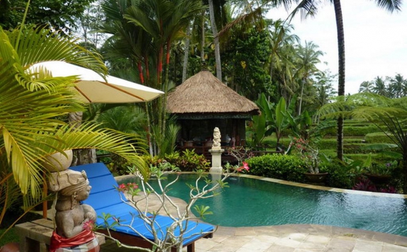 Swimming Pool di Orchid Guest House
