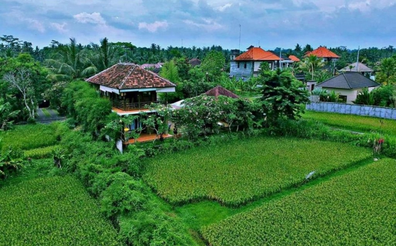 Lingkungan Sekitar Hotel di The White Villas Ubud