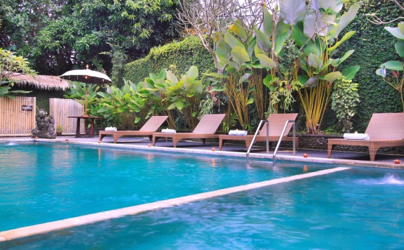 swimming pool di Ubud View Bungalows