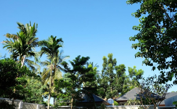 Tampilan Eksterior Hotel di Villa Bau Nyale Lombok