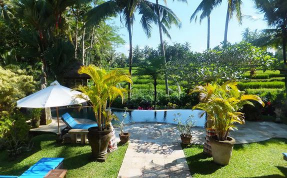 Swimming Pool di Villa Orchid Bali Seminyak