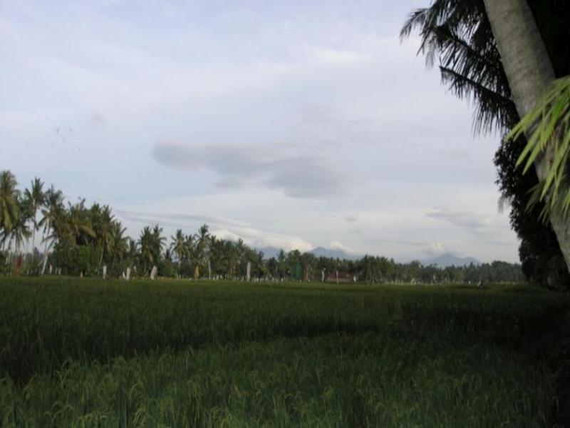 Pemandangan di Villa Pantulan