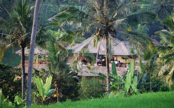 Lingkungan Sekitar Hotel di Villa Santai Ubud