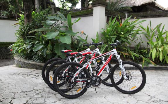 Fasilitas Penyewaan Sepeda di Villa Tamu Seseh