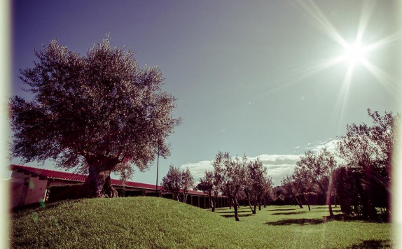 All Ways Garden Hotel & Leisure