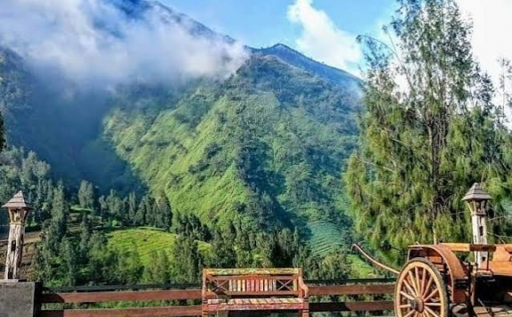 Bawangan Hotel Bromo Probolinggo