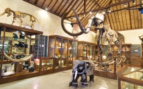 Interior di Elephant Safari Park Lodge