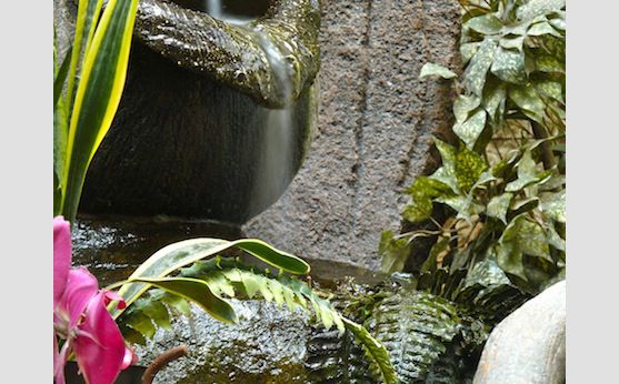 water garden di Harapan Indah Hotel