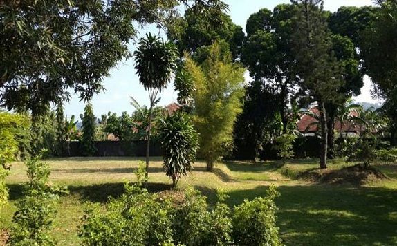 Garden di Hotel Wijaya Kusuma