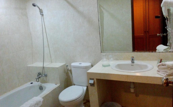 Bathroom di Ijen View Hotel And Resort