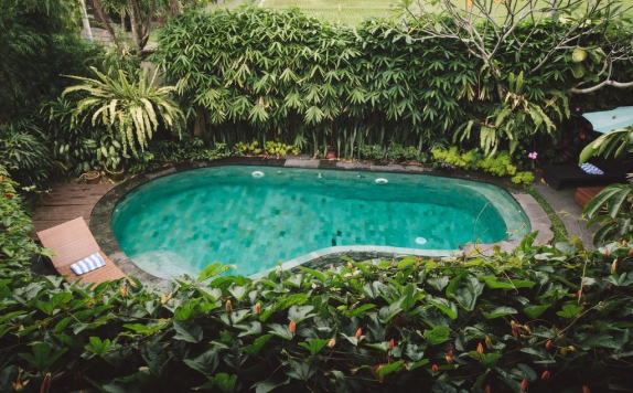 Swimming Pool di Junjungan Ubud Hotel and Spa