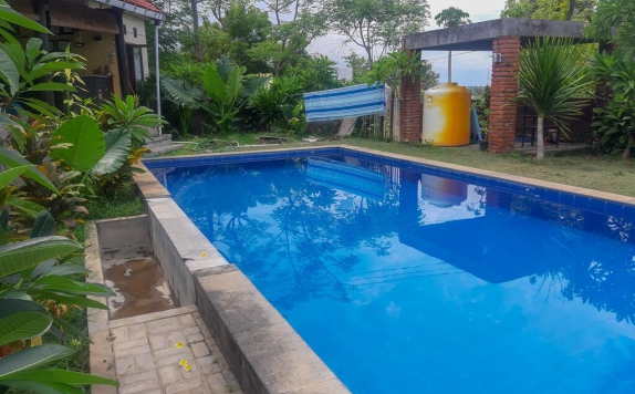 Swimming Pool di Lovina Eco Lodge