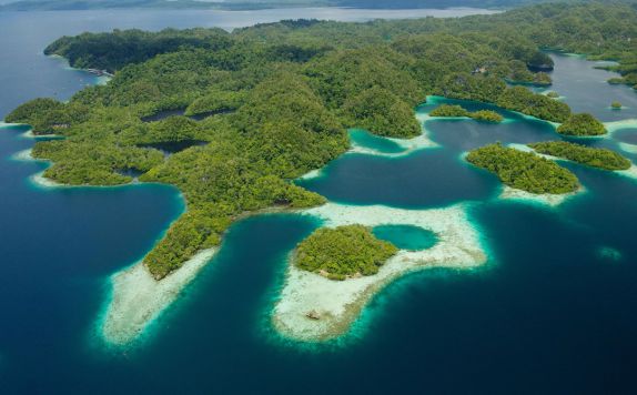 Eksterior Hotel di Papua Paradise Resort