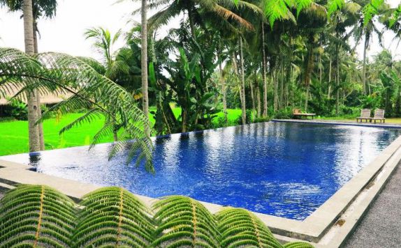 swimming pool di Sapu Lidi Resort Spa & Gallery