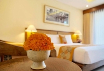 Arma Museum and Resort