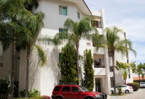 Aurea Hotel & Suites Guadalajara & Vicinity