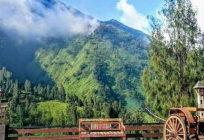 Bawangan Hotel Bromo Probolinggo