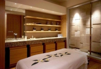 Marriott Executive Apartments