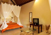 The Alit Style of Bali