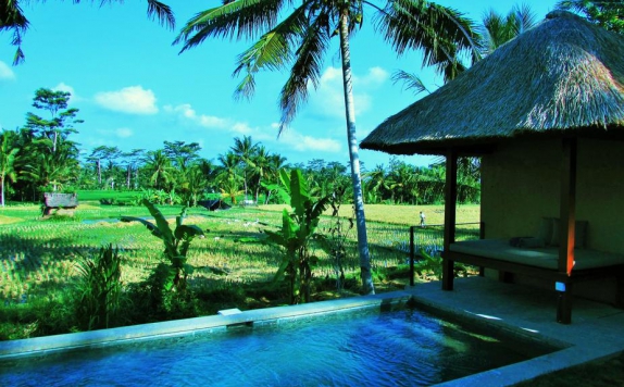 Outdoor Pool Hotel di Temuku Villas Ubud