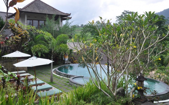 Outdoor Pool Hotel di Teras Bali Sidemen