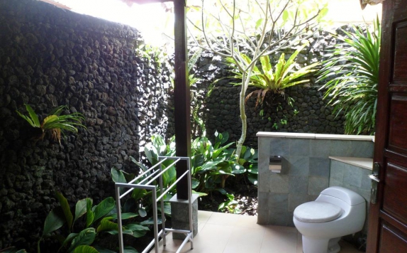 Tampilan Bathroom Hotel di Teras Bali Sidemen