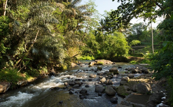 View di The Samaya Ubud Villa