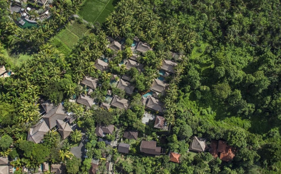 Top View di The Ubud Village Resort & Spa