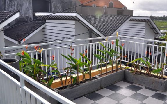 Terrace di Ulun Suwi Guesthouse